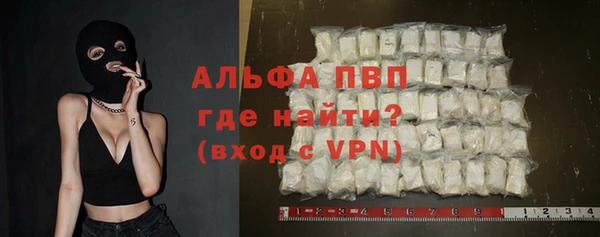 PSILOCYBIN Белокуриха