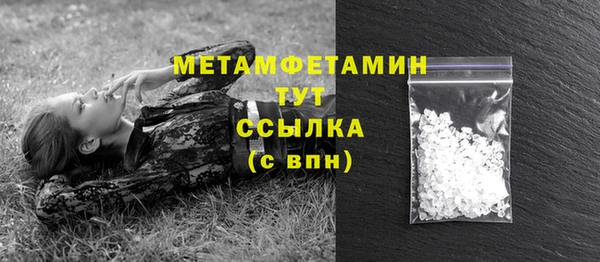 PSILOCYBIN Белокуриха
