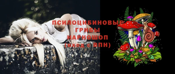 PSILOCYBIN Белокуриха