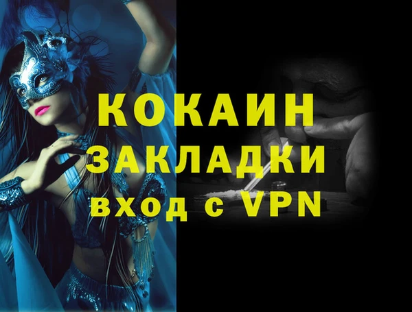 PSILOCYBIN Белокуриха