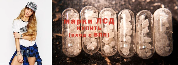 PSILOCYBIN Белокуриха